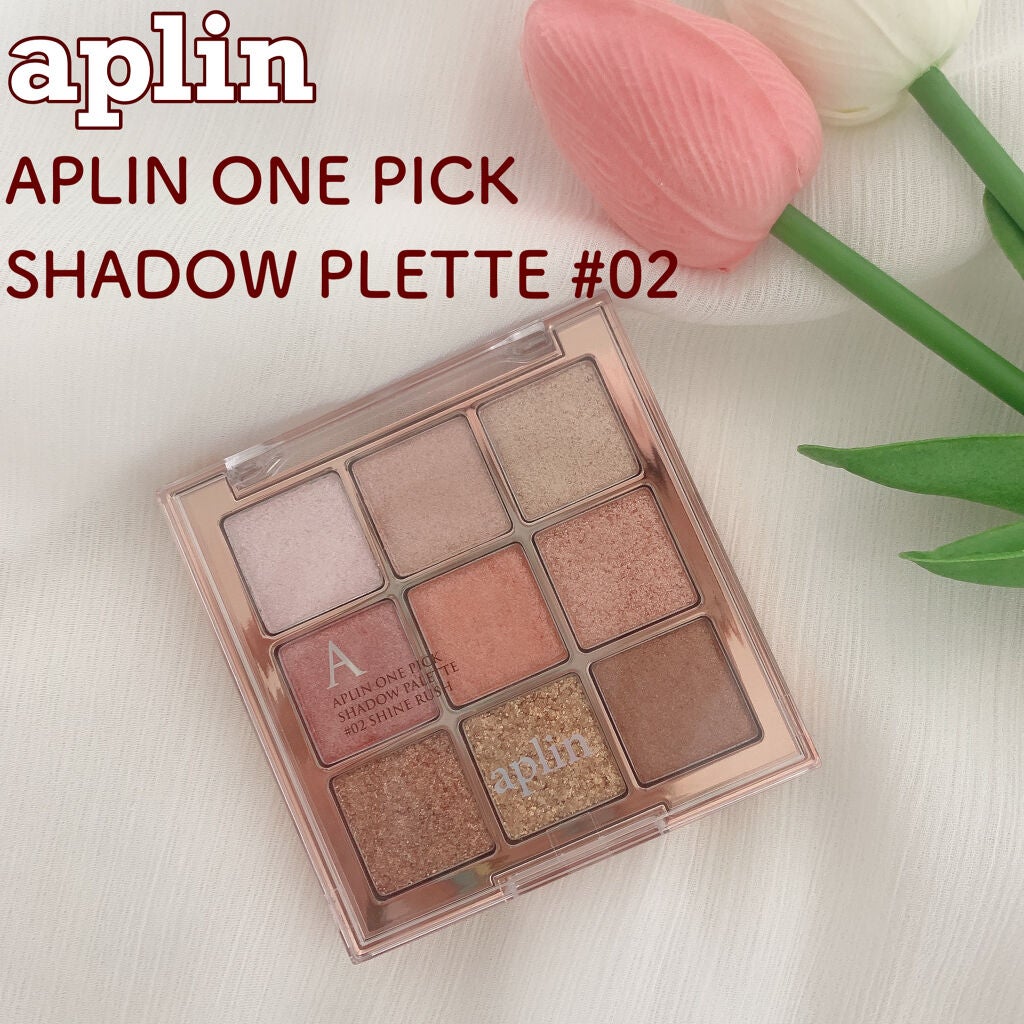 ワンピックアイシャドウパレット/APLIN/アイシャドウパレットを使ったクチコミ(1枚目)