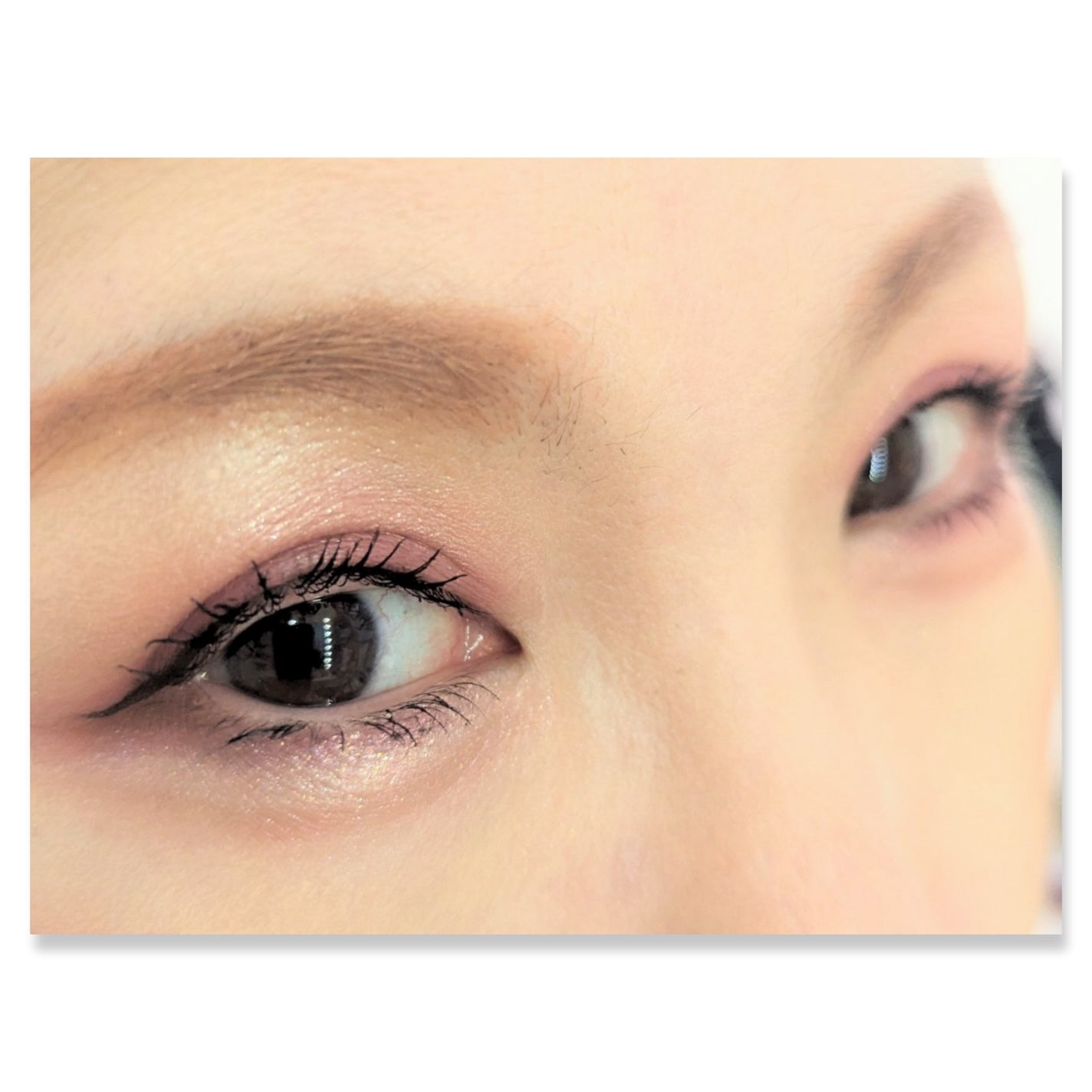 ショコラスウィート アイズ/リンメル ロンドン/アイシャドウパレットを使ったクチコミ(2枚目)