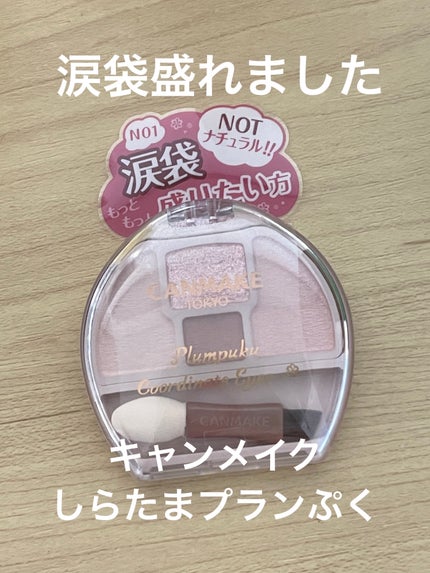 プランぷくコーデアイズNeo/キャンメイク/アイシャドウを使ったクチコミ(1枚目)