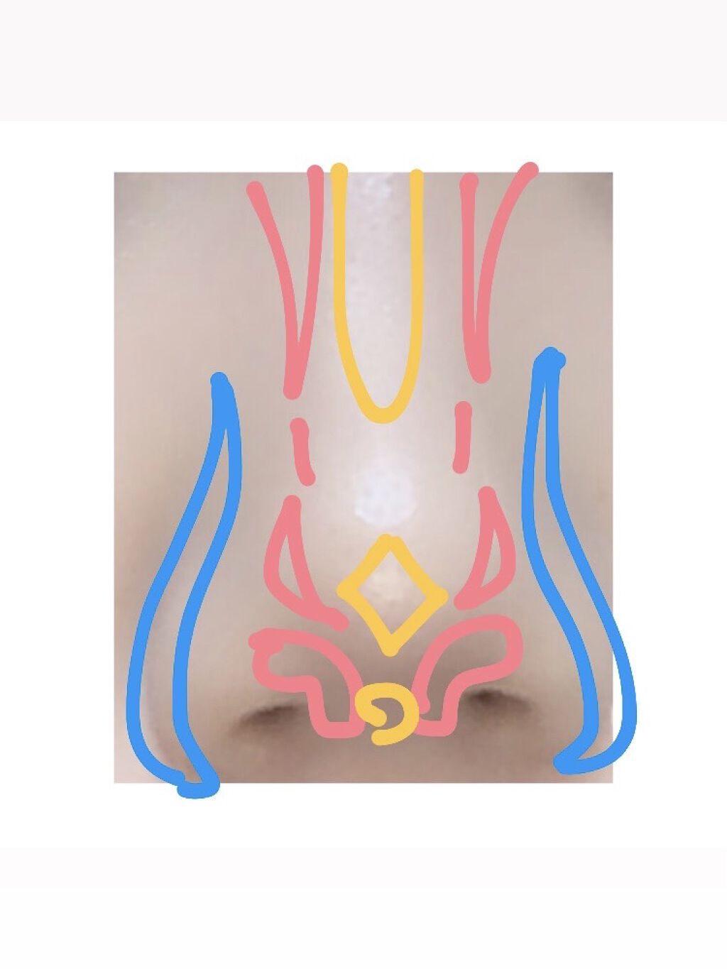 パールグロウハイライト/CEZANNE/パウダーハイライトを使ったクチコミ（2枚目）