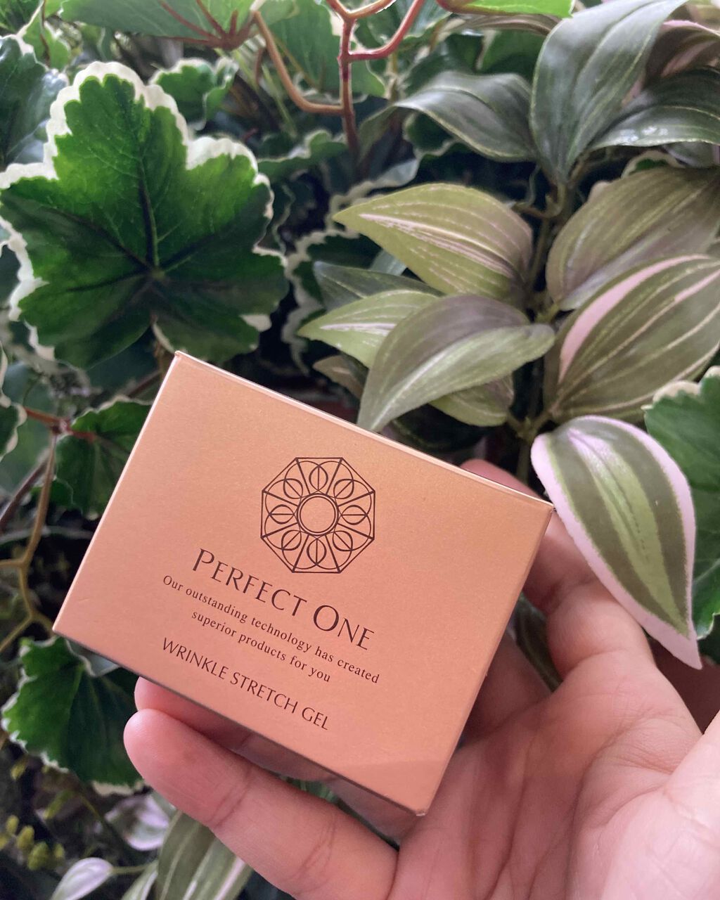 パーフェクトワン 薬用リンクルストレッチジェル/パーフェクトワン/オールインワン化粧品を使ったクチコミ（1枚目）