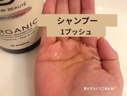 スカルプD ボーテ ナチュラスター スカルプシャンプー/トリートメントパック/アンファー(スカルプD)/シャンプー・コンディショナーを使ったクチコミ(2枚目)