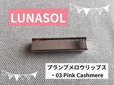 プランプメロウリップス/LUNASOL/口紅を使ったクチコミ（1枚目）