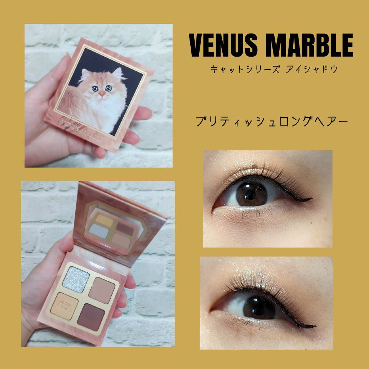 Venus Marble アイシャドウキャットシリーズ/Venus Marble/アイシャドウパレットを使ったクチコミ(1枚目)