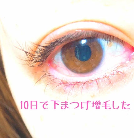 エグータム/アルマダスタイル/まつげ美容液を使ったクチコミ(1枚目)