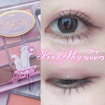 マイベストトーンアイパレット/ETUDE/アイシャドウパレットを使ったクチコミ(1枚目)