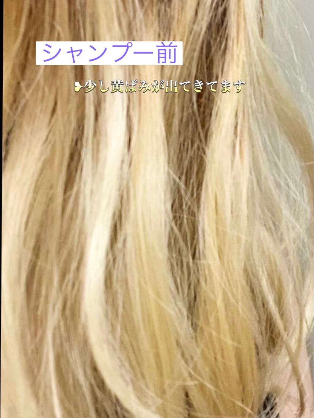 グッバイ イエロー カラーシャンプー/シュワルツコフ プロフェッショナル/市販シャンプーを使ったクチコミ(2枚目)