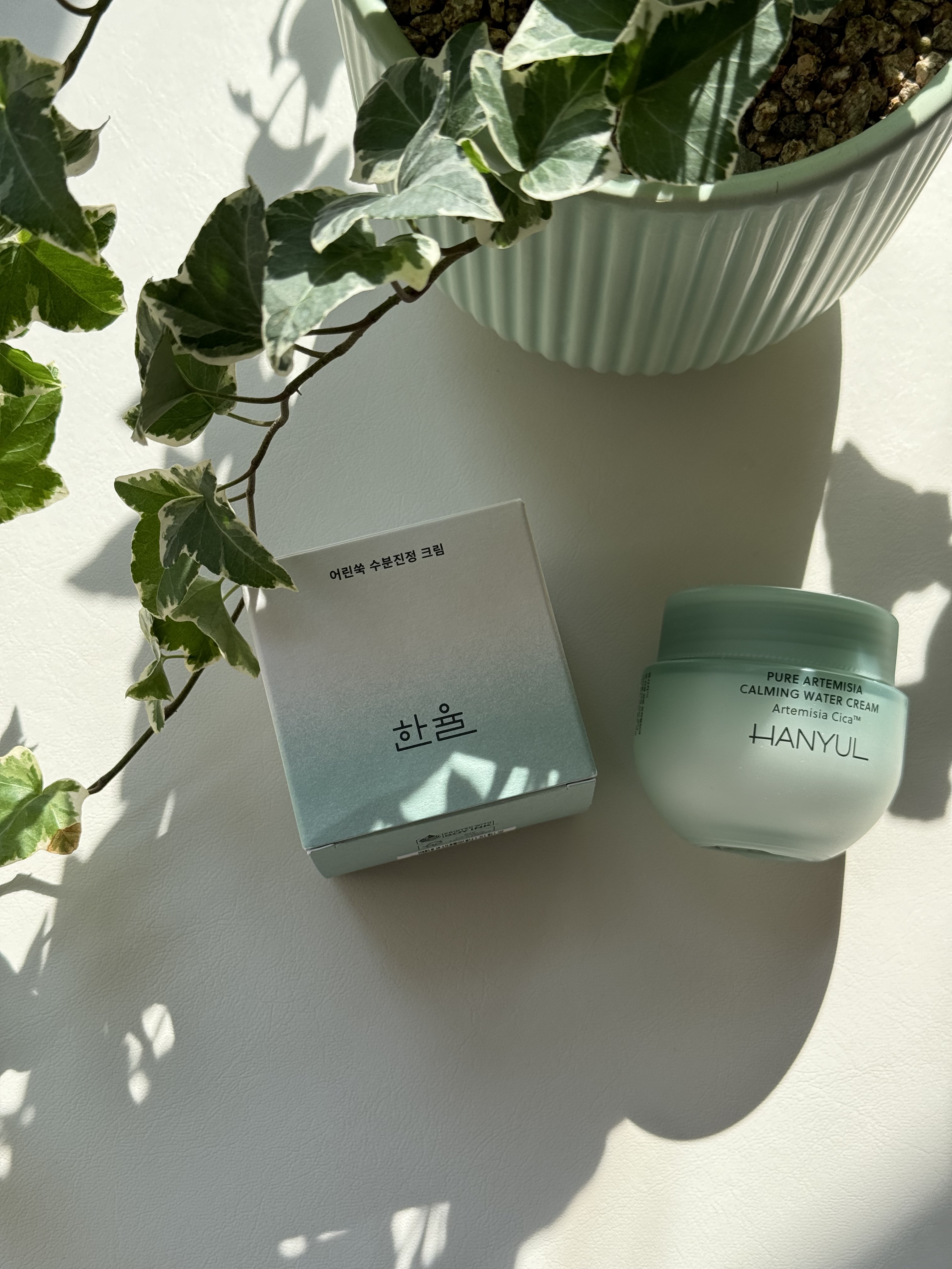 ピュアアルテミシア カーミングウォータークリーム/HANYUL(ハンユル)/フェイスクリームを使ったクチコミ（1枚目）