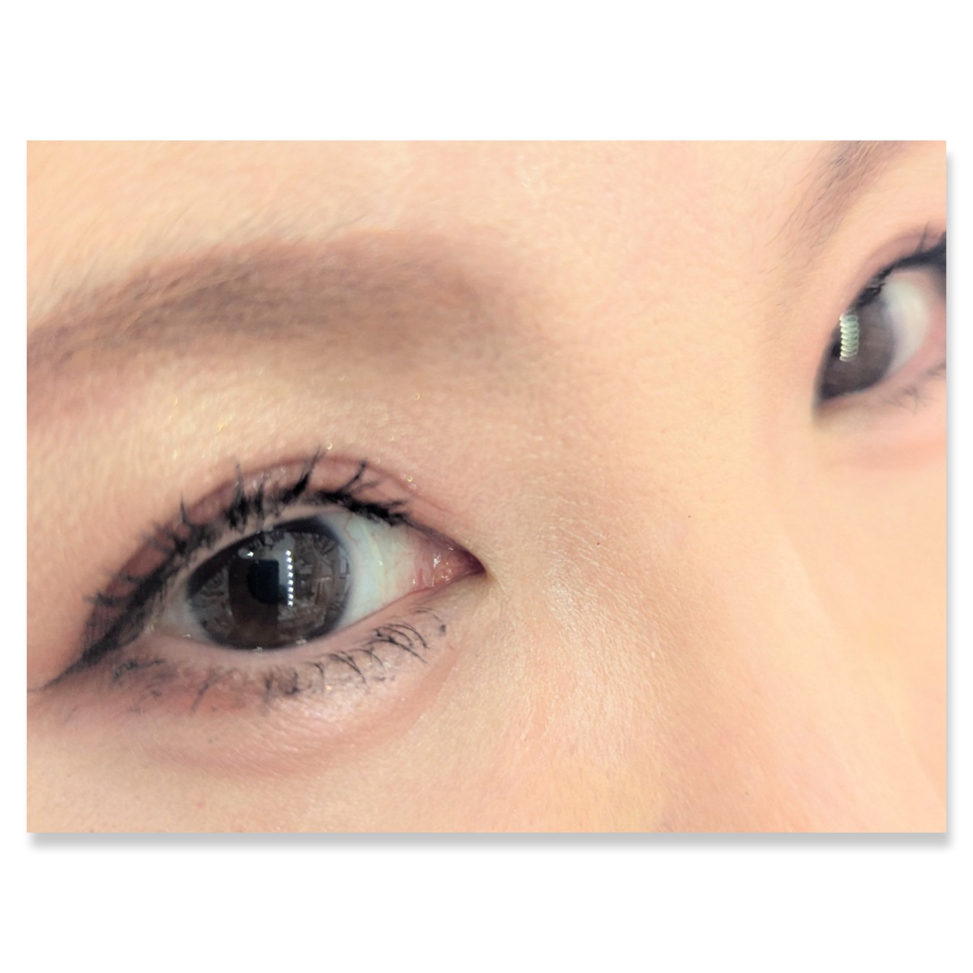 シルキースフレアイズ/キャンメイク/アイシャドウパレットを使ったクチコミ（2枚目）