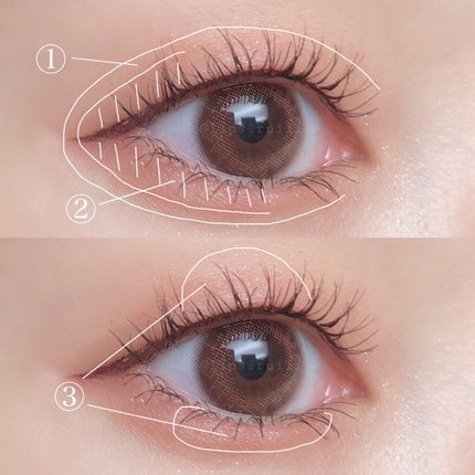 シャドーカスタマイズ/MAJOLICA MAJORCA/単色アイシャドウを使ったクチコミ(2枚目)