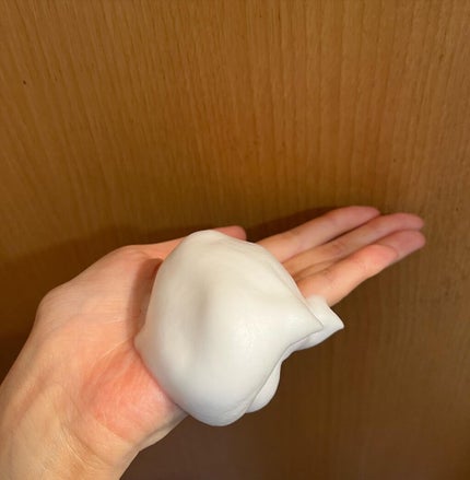 泡洗顔 コントロールケア(医薬部外品)/ビフェスタ/泡洗顔を使ったクチコミ(2枚目)