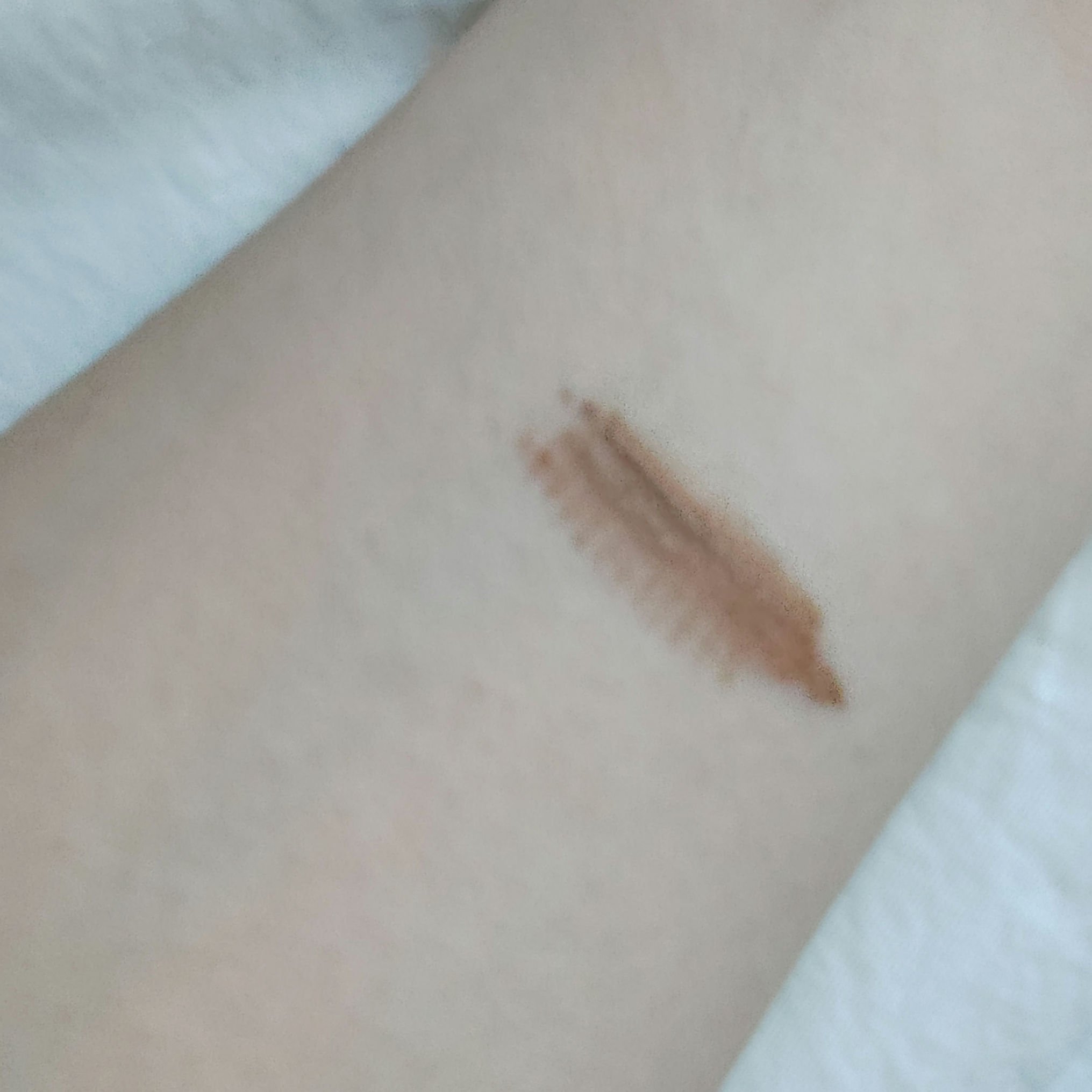 マジカルアイブロウカラー 02 ライトブラウン/Fujiko/眉マスカラを使ったクチコミ（2枚目）