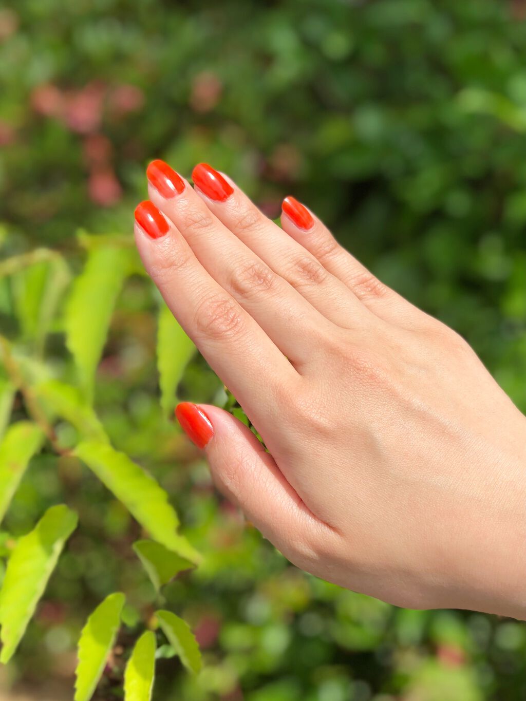 ネイルポリッシュ/Deborah Lippmann(デボラリップマン)/マニキュアを使ったクチコミ(4枚目)