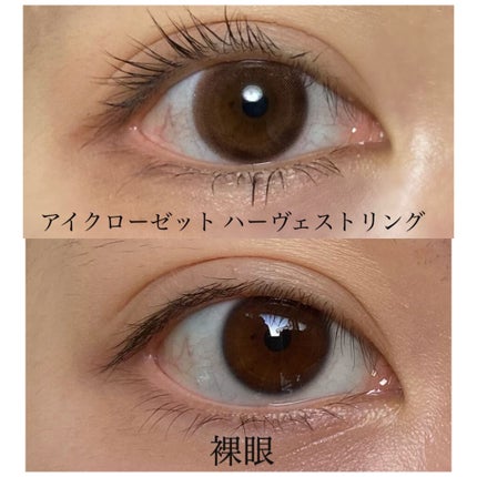 eye closet 1DAY/EYE CLOSET/ワンデー(1DAY)カラコンを使ったクチコミ(2枚目)