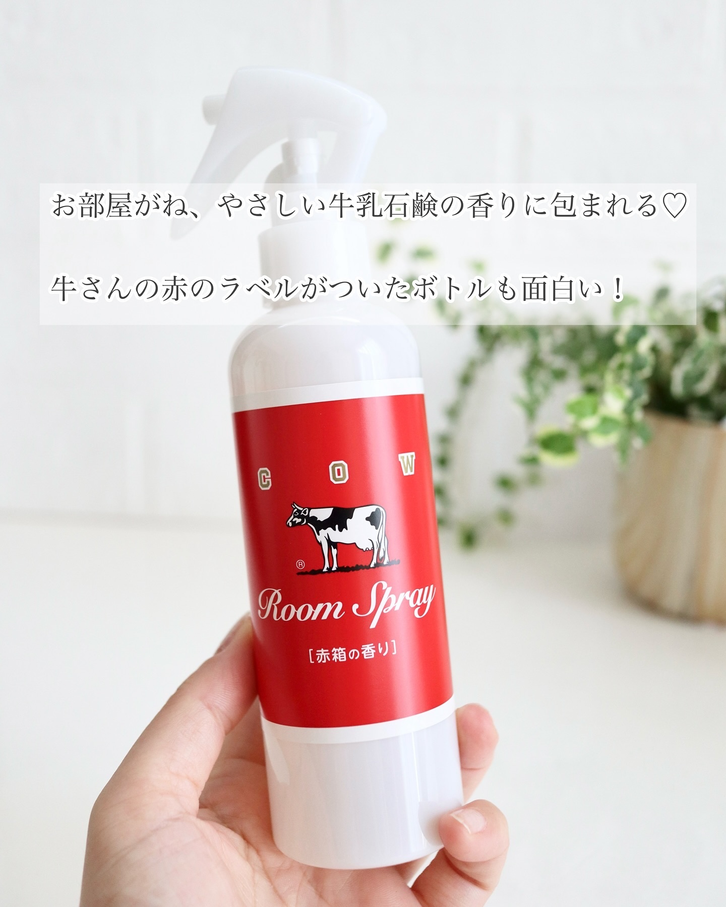 カウブランド 赤箱の香りのフレグランスルームミスト/カウブランド/その他を使ったクチコミ（2枚目）