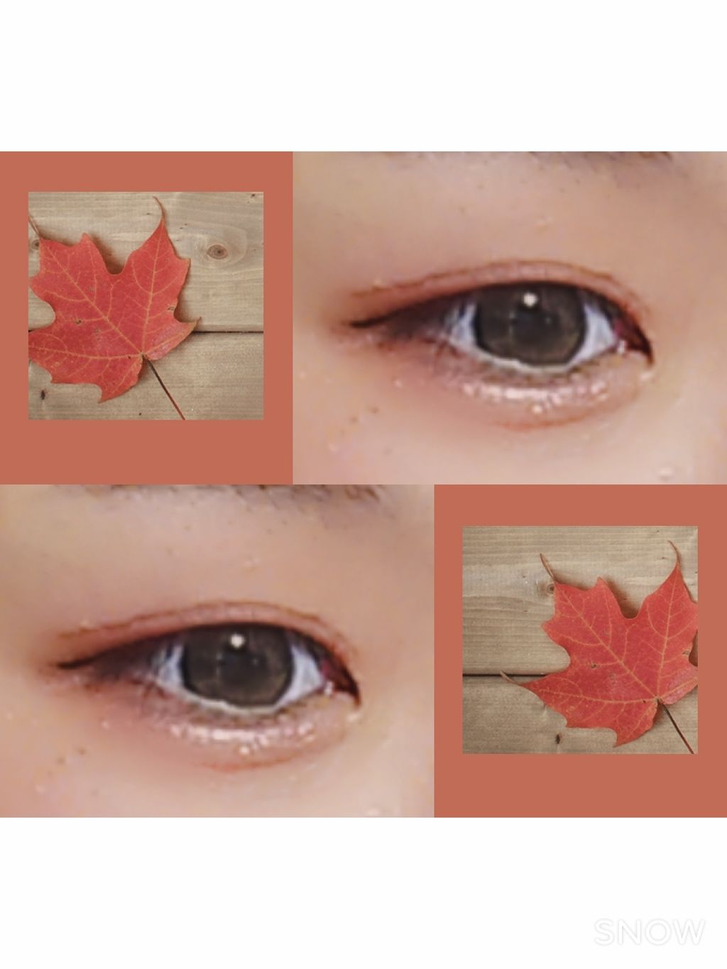 シングルカラーアイシャドウ/CEZANNE/単色アイシャドウを使ったクチコミ(3枚目)