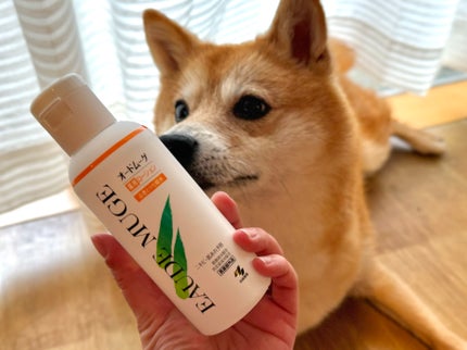 オードムーゲ 薬用ローション(ふきとり化粧水)/オードムーゲ/拭き取り化粧水を使ったクチコミ(1枚目)