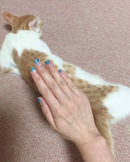 pa ネイルカラー/pa nail collective/マニキュアを使ったクチコミ(2枚目)