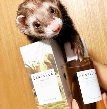 センテラ トーニングトナー/SKIN1004/化粧水を使ったクチコミ(1枚目)