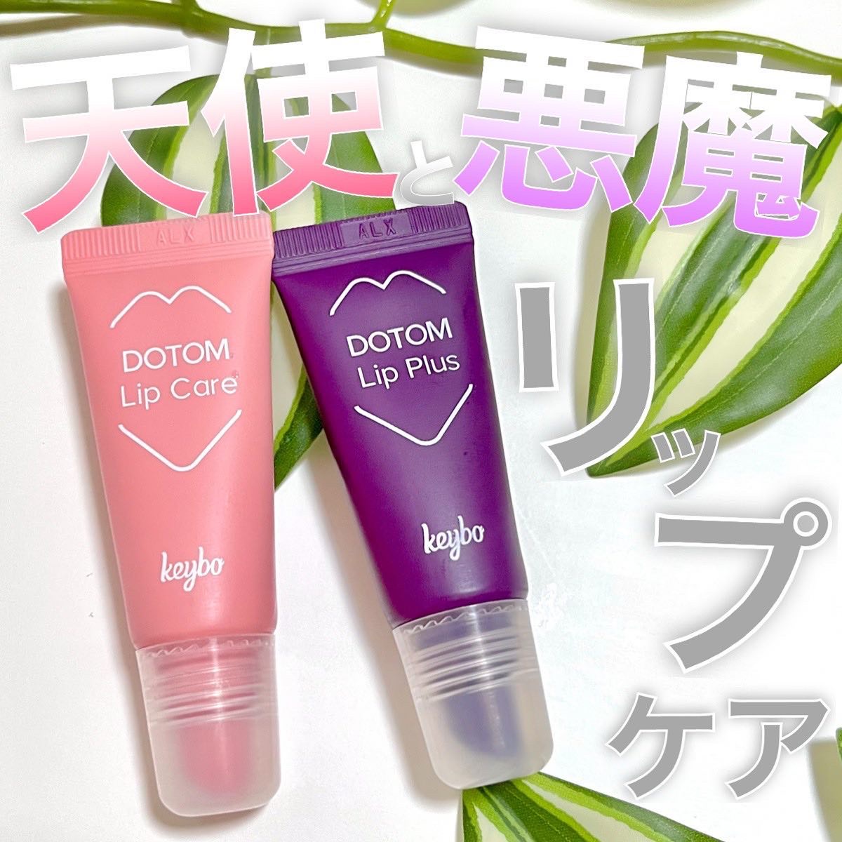 DOTOM LipPlus/keybo/リップバームを使ったクチコミ（1枚目）