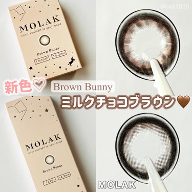 MOLAK 1month ブラウンバニー/MOLAK/１ヶ月（１MONTH）カラコンを使ったクチコミ（1枚目）