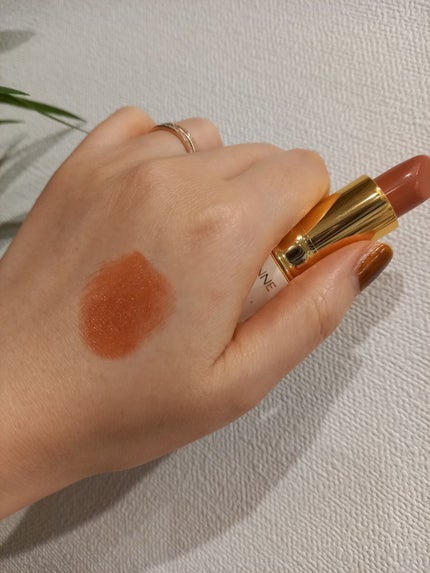 ラスティング リップカラーN/CEZANNE/口紅を使ったクチコミ(2枚目)