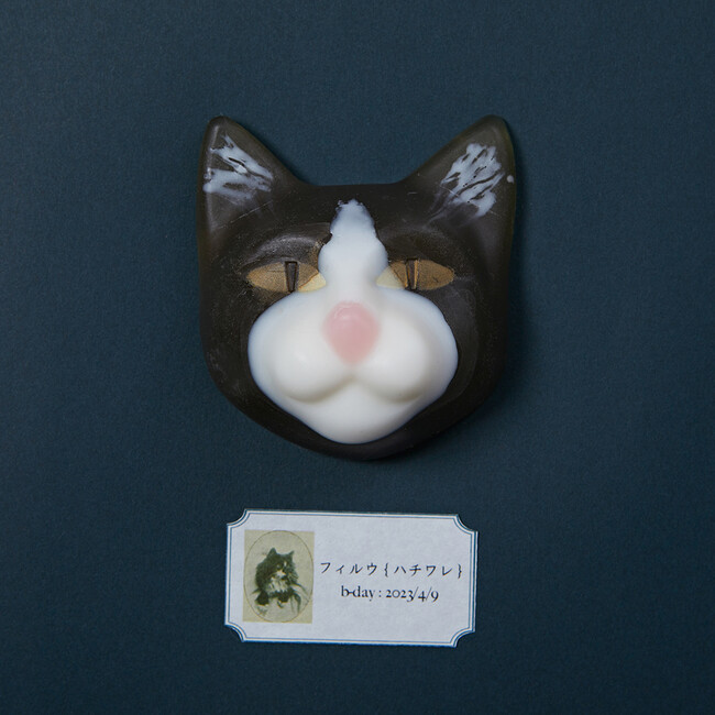 9.kyuu(キュウ) ハコイリ12Cats 《フィルウ》