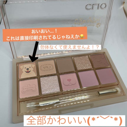 プロ アイ パレット/CLIO/アイシャドウパレットを使ったクチコミ(3枚目)