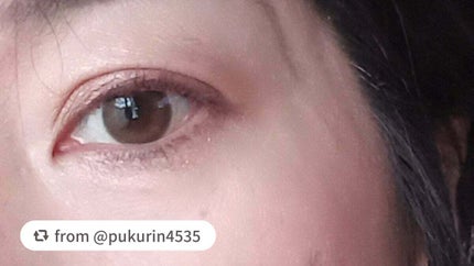 ピエナージュ55a/SHOBIDO/カラーコンタクトレンズを使ったクチコミ(5枚目)