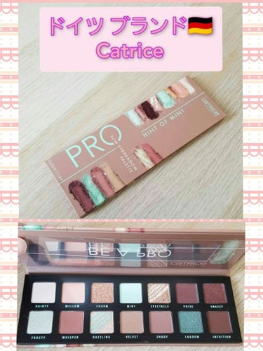 Catrice Pro Hint Of Mint Slim Eyeshadow Palette/Catrice/パウダーアイシャドウを使ったクチコミ（1枚目）