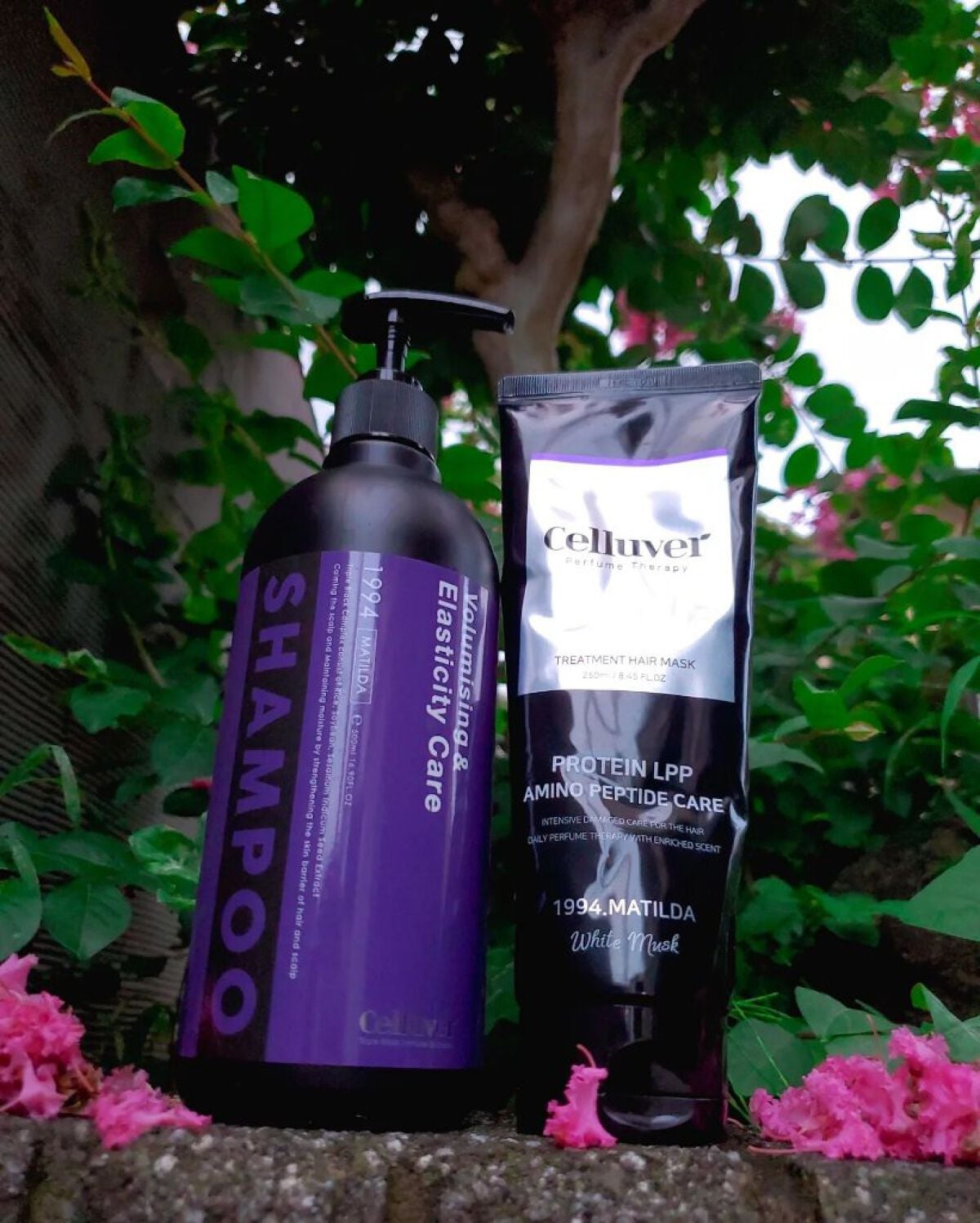 トリプルブラックパフュームシャンプー /CELLUVER/シャンプー・コンディショナーを使ったクチコミ(1枚目)