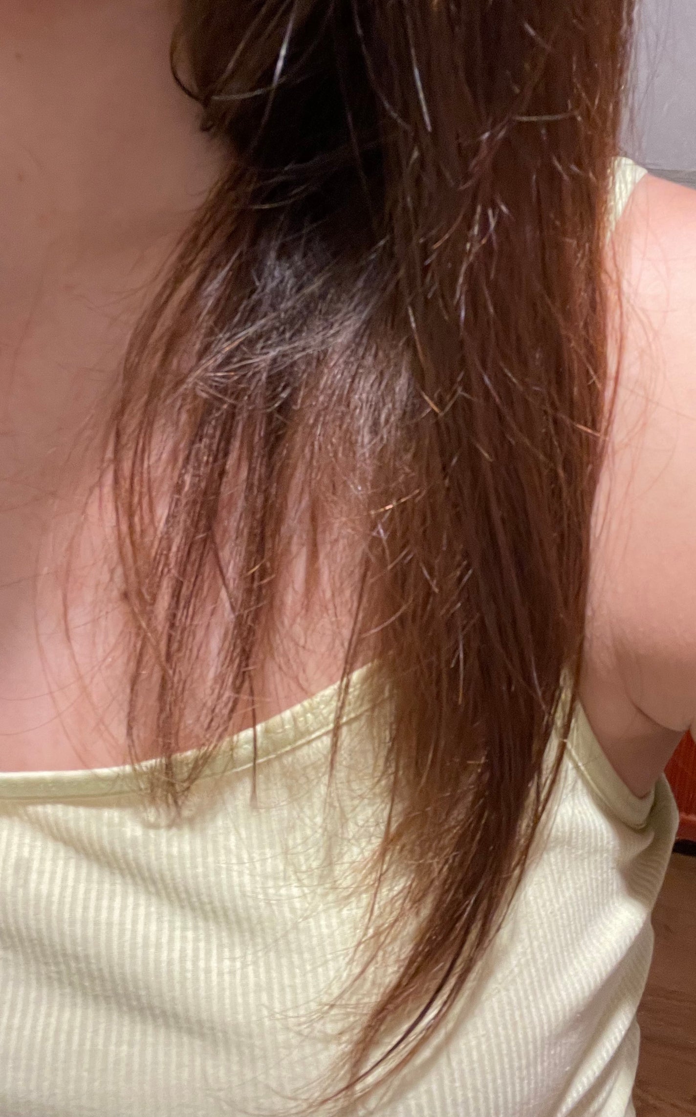 シルキー スムースモイスチャー シャンプー 1.0/ヘアトリートメント 2.0/&honey/市販シャンプーを使ったクチコミ(2枚目)