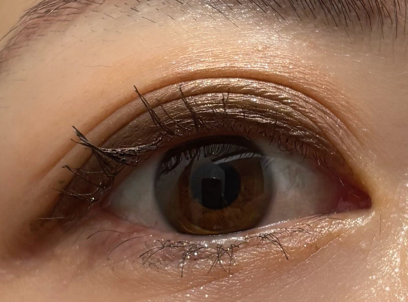 SUQQU アイ&フェイス コンパクト/SUQQU/アイシャドウパレットを使ったクチコミ(3枚目)