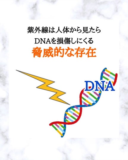 みついだいすけ on LIPS 「肌が白い人にお伝えしたいのはシワやたるみの原因となるUVAを..」(5枚目)
