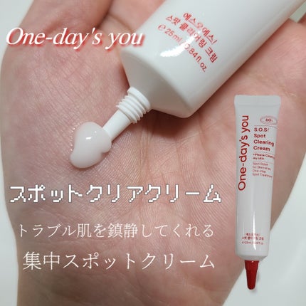 を使ったクチコミ(3枚目)