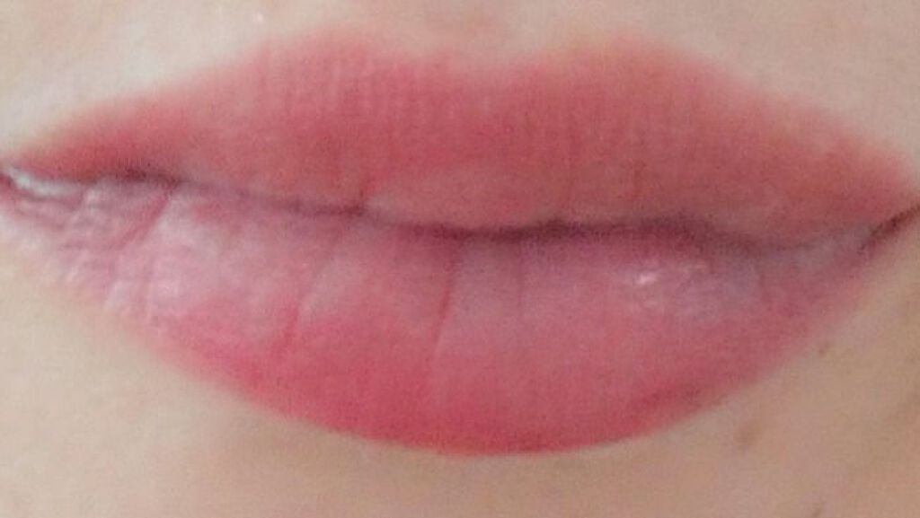 エテュセ リップエディション（プランパー）リッチスタイル/ヘルシースタイル/ettusais/リップケアを使ったクチコミ（1枚目）