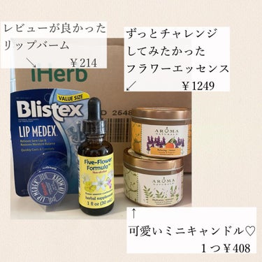 Lip Medex/Blistex/リップケア・リップクリームを使ったクチコミ（3枚目）