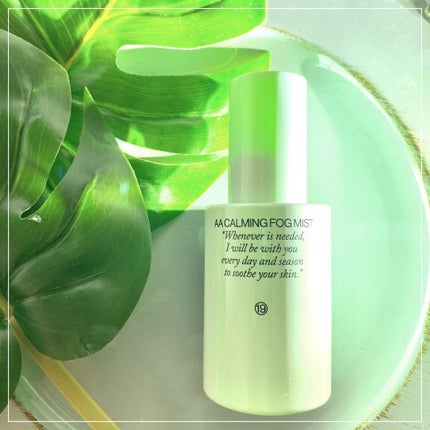AA CALMING FOG MIST/Shangpree/ミスト状化粧水を使ったクチコミ(2枚目)