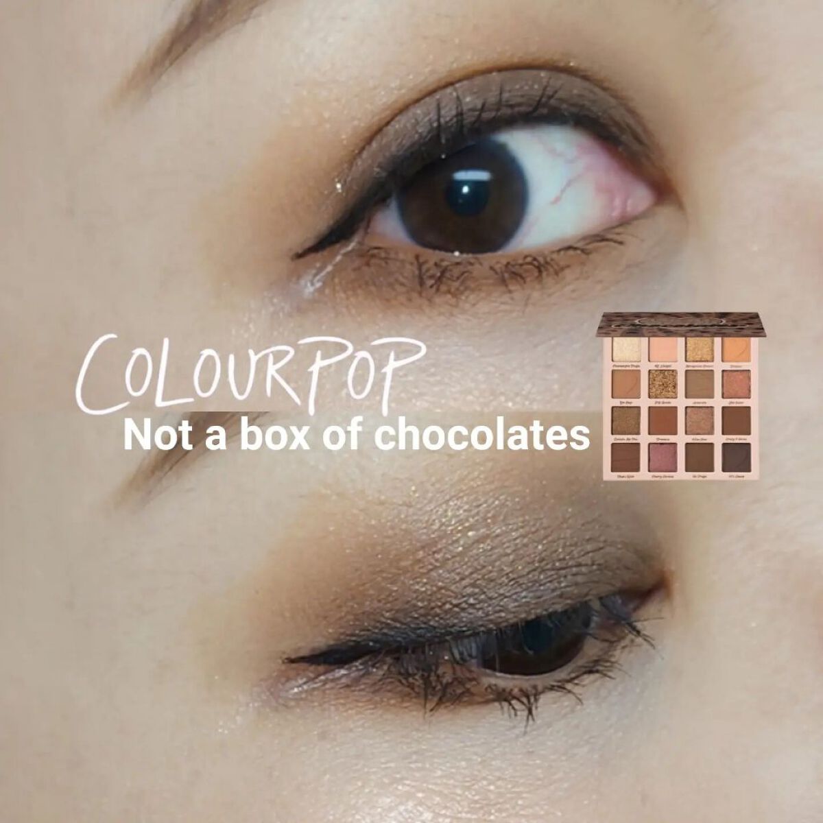 Not a box of chocolates/ColourPop/アイシャドウパレットを使ったクチコミ（1枚目）