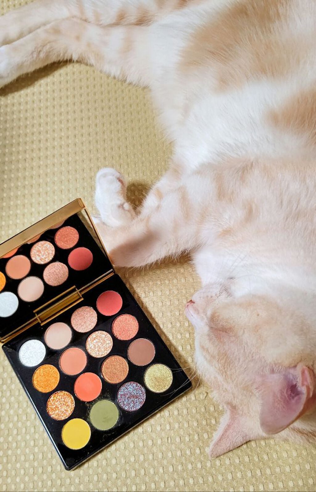 ルース パウダー/ANNA SUI/ルースパウダーを使ったクチコミ(6枚目)