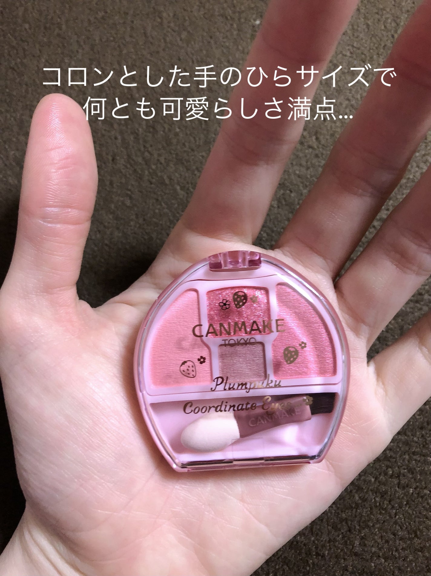 プランぷくコーデアイズ/キャンメイク/パウダーアイシャドウを使ったクチコミ(2枚目)