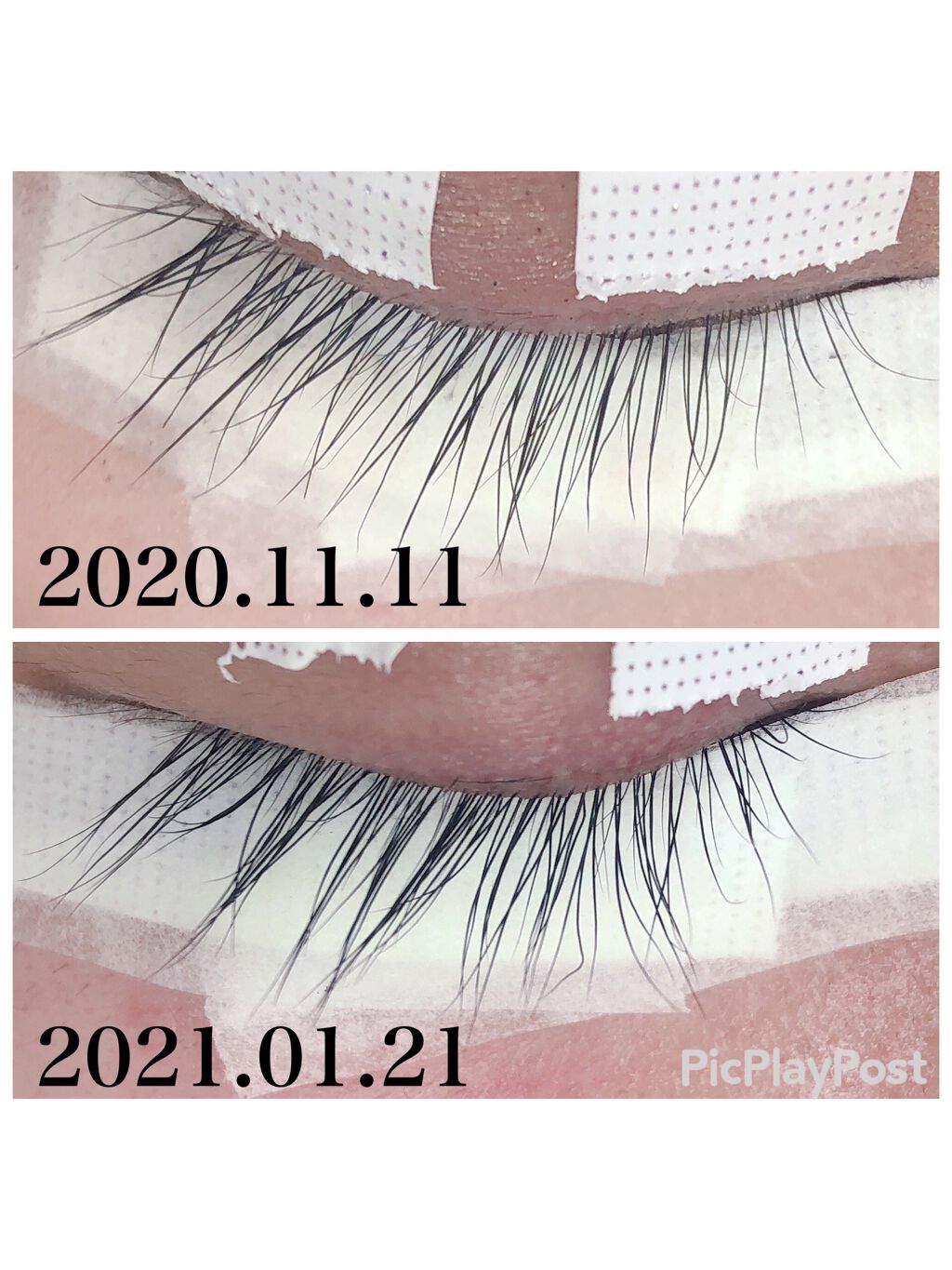 エグータム/アルマダスタイル/まつげ美容液を使ったクチコミ(2枚目)