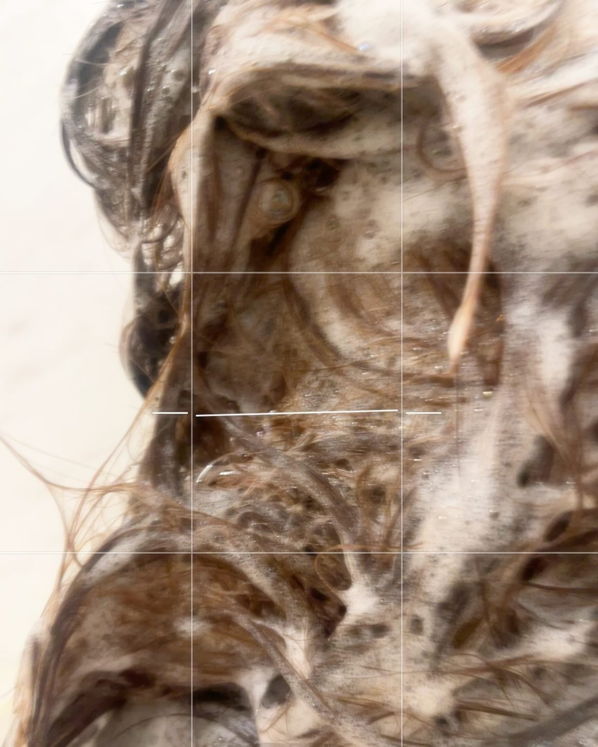 lalalaboo on LIPS 「Cleo’sBeautéエクストラモイストシャンプー@cleo..」(4枚目)