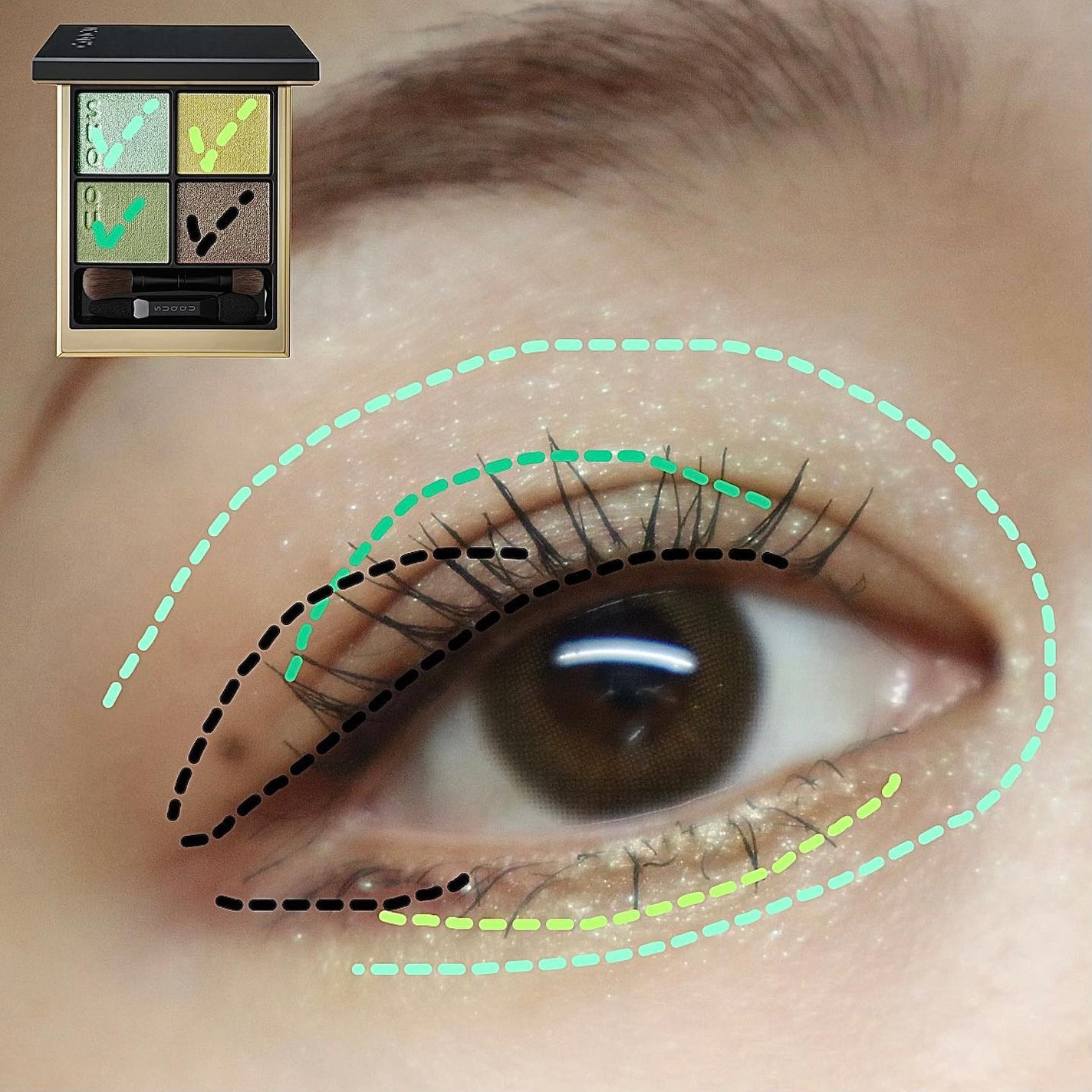 ぴー on LIPS 「.#suqqu#シグニチャーカラーアイズ124#日輪葉#NIC..」(6枚目)