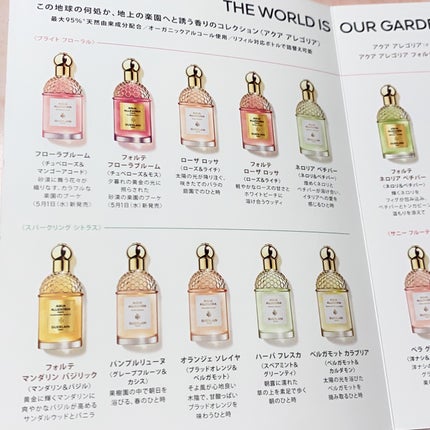 ã¢ã¯ã¢ ã¢ã¬ãŽãªã¢ ããŒã¶ ãããµ/GUERLAIN/éŠæ°Ž(ã¬ãã£ãŒã¹)ã䜿ã£ãã¯ãã³ãïŒ2æç®ïŒ