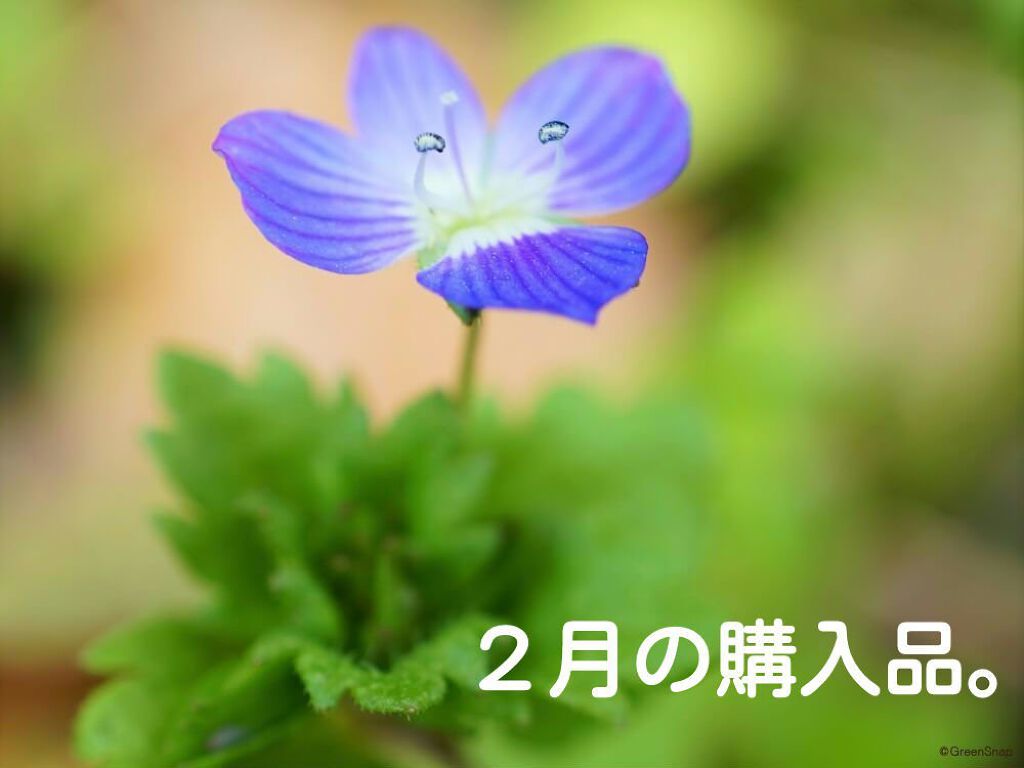 プリスクリードi（医薬品）/IHADA/その他を使ったクチコミ（1枚目）