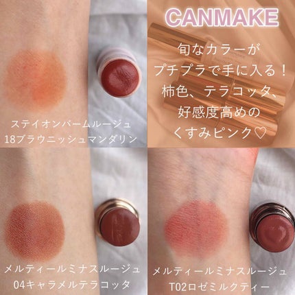 ステイオンバームルージュ/キャンメイク/口紅を使ったクチコミ(4枚目)