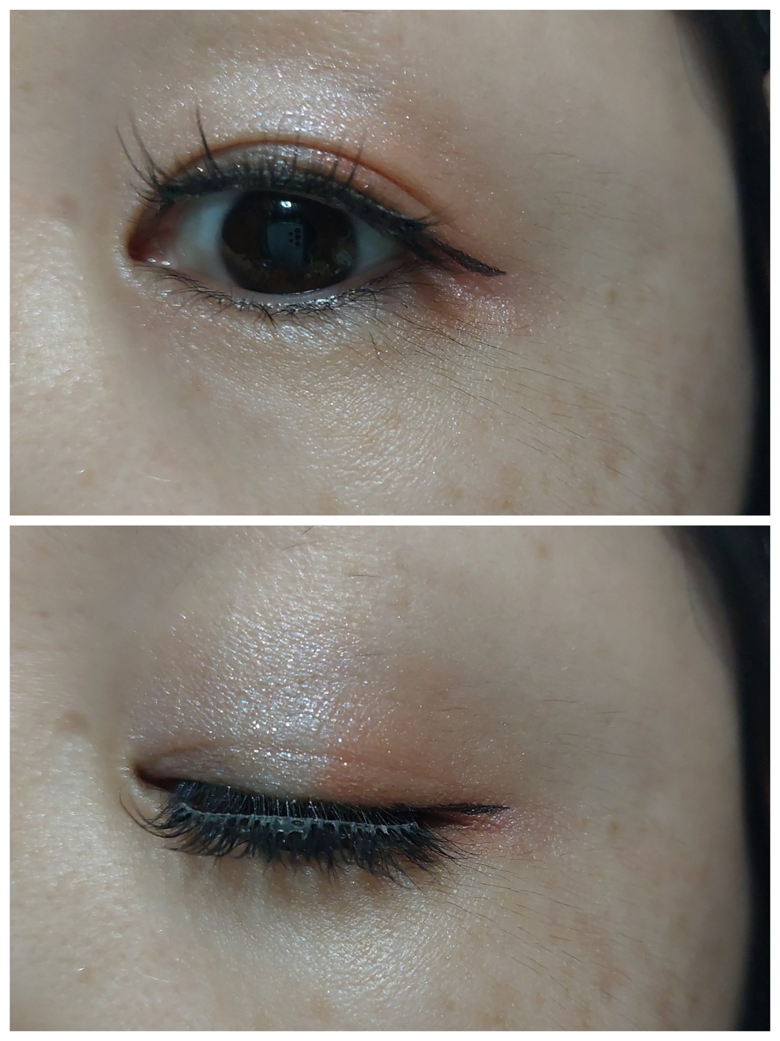 つけまつ毛/SHEIN/つけまつげを使ったクチコミ（2枚目）