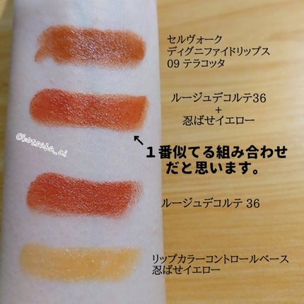 ディグニファイド リップス/Celvoke/口紅を使ったクチコミ(5枚目)