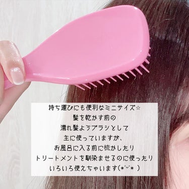 ザ・ウェットディタングラー ミニ/TANGLE TEEZER/ヘアブラシを使ったクチコミ（3枚目）